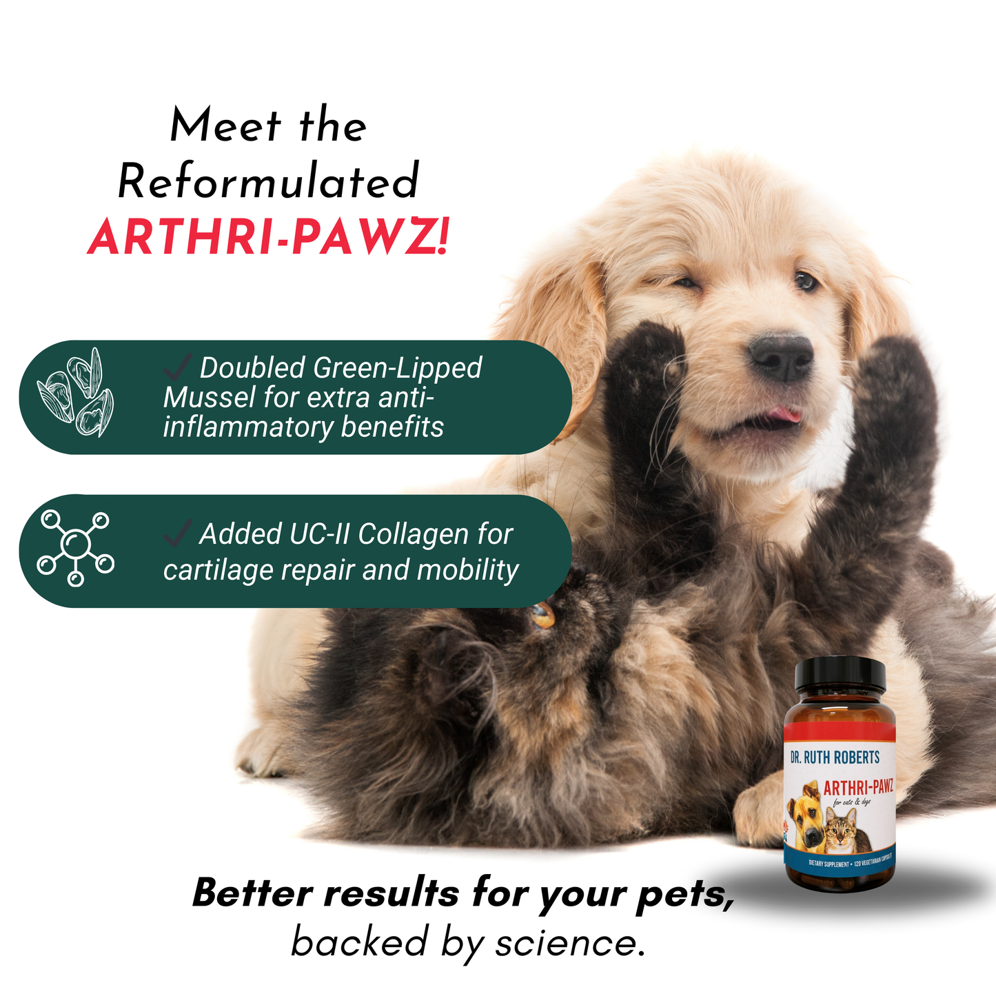Arthri-Pawz – with Glucosamine for Cats and Dogs